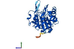 AlphaFold protein structure predicition of Mouse Recombinant Hdhd2 Protein, UniprotID Q3UGR5