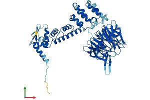 AlphaFold protein structure predicition of Human Recombinant KLHL28 Protein, UniprotID Q9NXS3