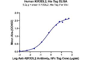 Immobilized Human KIR3DL2, His Tag at 2 μg/mL (100 μL/well) on the plate.