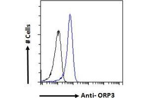ABIN334453 Flow cytometric analysis of paraformaldehyde fixed A431 cells (blue line), permeabilized with 0. (OSBPL3 antibody  (N-Term))