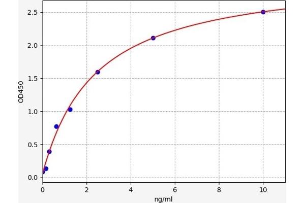 Musculin ELISA Kit