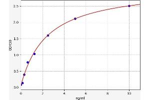 Typical standard curve (Musculin ELISA Kit)