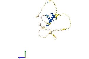 AlphaFold protein structure predicition of Mouse Recombinant Gsx1 Protein, UniprotID P31315 (GSX1/GSH1 Protein (AA 1-261) (His tag))