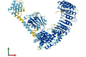 AlphaFold protein structure predicition of Mouse Recombinant Nlrp4b Protein, UniprotID Q8C6J9 (Nlrp4b Protein (AA 1-863) (His tag))
