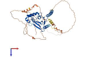 AlphaFold protein structure predicition of Mouse Recombinant Otud1 Protein, UniprotID Q9CUB6 (OTUD1 Protein (AA 1-454) (His tag))