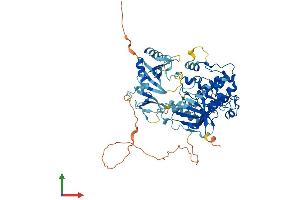 AlphaFold protein structure predicition of Human Recombinant PRKCZ Protein, UniprotID Q05513 (PKC zeta Protein (AA 1-592) (His tag))