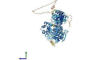 AlphaFold protein structure predicition of Human Recombinant HACE1 Protein, UniprotID Q8IYU2