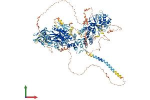 AlphaFold protein structure predicition of Human Recombinant DENND4B Protein, UniprotID O75064 (DENND4B Protein (AA 1-1496) (His tag))
