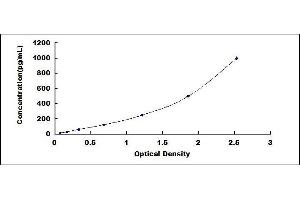 Tumor Necrosis Factor (Ligand) Superfamily, Member 11 (TNFSF11) ELISA Kit