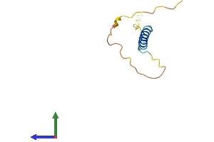 AlphaFold protein structure predicition of Human Recombinant MANBAL Protein, UniprotID Q9NQG1 (MANBAL Protein (AA 1-85) (Fc Tag))