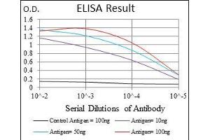 Black line: Control Antigen (100 ng), Purple line: Antigen(10 ng), Blue line: Antigen (50 ng), Red line: Antigen (100 ng), (MSH6 antibody)