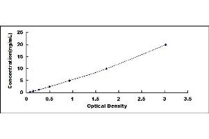 Typical standard curve (Macrophage Scavenger Receptor 1 ELISA Kit)