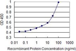 Detection limit for recombinant GST tagged ATP2A3 is 0. (ATP2A3 antibody  (AA 501-620))