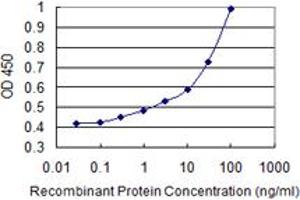 Detection limit for recombinant GST tagged ATP2A3 is 0. (ATP2A3 antibody  (AA 501-620))