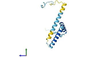 AlphaFold protein structure predicition of Human Recombinant FAM32A Protein, UniprotID Q9Y421 (FAM32A Protein (AA 1-112) (His tag))
