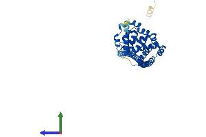 AlphaFold protein structure predicition of Human Recombinant HSF2BP Protein, UniprotID O75031
