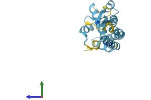 AlphaFold protein structure predicition of Human Recombinant COMMD4 Protein, UniprotID Q9H0A8 (COMMD4 Protein (AA 1-199) (His tag))