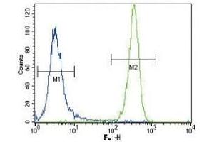 NRAS antibody flow cytometric analysis of NCI-H460 cells (green) compared to a negative control (blue). (GTPase NRas antibody  (AA 147-179))