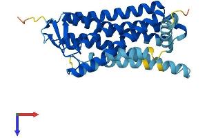 AlphaFold protein structure predicition of Human Recombinant OR4B1 Protein, UniprotID Q8NGF8 (Olfactory Receptor 4B1 (OR4B1) (AA 1-309) protein (His tag))