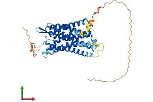 Protein Structure (PS) image for Purinergic Receptor P2Y, G-Protein Coupled, 2 (P2RY2) (AA 1-373) protein (His tag) (ABIN7563169)