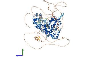 AlphaFold protein structure predicition of Human Recombinant FAM120C Protein, UniprotID Q9NX05 (FAM120C Protein (AA 1-1096) (His tag))