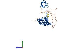 Protein Structure (PS) image for Protein Kinase C and Casein Kinase Substrate in Neurons 2 (PACSIN2) (AA 1-486) protein (His tag) (ABIN7554835)