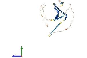 AlphaFold protein structure predicition of Human Recombinant GOLGA6C Protein, UniprotID A6NDK9 (GOLGA6C Protein (AA 1-693) (His tag))