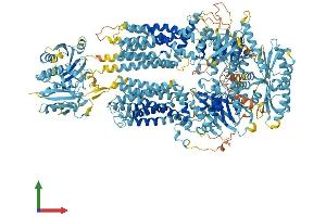 AlphaFold protein structure predicition of Human Recombinant ABCA5 Protein, UniprotID Q8WWZ7