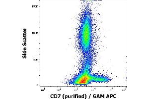 Flow cytometry surface staining pattern of human peripheral whole blood stained using anti-human CD7 (MEM-186) purified antibody (concentration in sample 0,33 μg/mL, GAM APC).