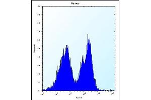 PCDHGA3 Antibody (Center) (ABIN657534 and ABIN2846552) flow cytometric analysis of Ramos cells (right histogram) compared to a negative control cell (left histogram). (PCDHGA3 antibody  (AA 284-311))