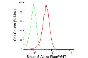 Flow cytometric analysis of Sirtuin 5 expression in HepG2 cells using Sirtuin 5 antibody (ABIN7800355), 1:2,000). (SIRT5 antibody)