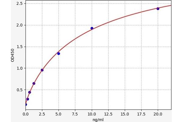 SLC16A1 ELISA Kit