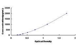 ELISA image for Oxidized Low Density Lipoprotein (Lectin-Like) Receptor 1 (OLR1) ELISA Kit (ABIN1118102)