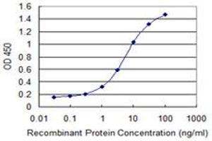 Detection limit for recombinant GST tagged ZNF224 is 0. (ZNF224 antibody  (AA 95-190))
