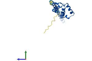 AlphaFold protein structure predicition of Human Recombinant LDOC1 Protein, UniprotID O95751 (LDOC1 Protein (AA 1-146) (His tag))