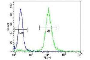 TrkA antibody flow cytometric analysis of WiDr cells (green) compared to a negative control (blue). (TRKA antibody)