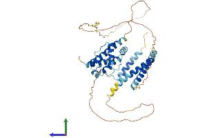 AlphaFold protein structure predicition of Human Recombinant CEP44 Protein, UniprotID Q9C0F1