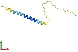 AlphaFold protein structure predicition of Human Recombinant ADIG Protein, UniprotID Q0VDE8 (ADIG Protein (AA 1-80) (Fc Tag))