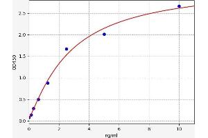 Typical standard curve (CYP7B1 ELISA Kit)