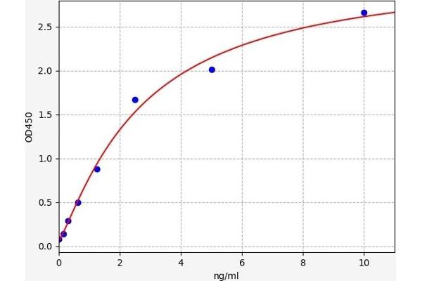 CYP7B1 ELISA Kit