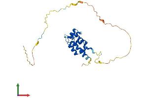 AlphaFold protein structure predicition of Human Recombinant EDARADD Protein, UniprotID Q8WWZ3