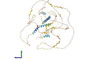 AlphaFold protein structure predicition of Mouse Recombinant Dact3 Protein, UniprotID Q0PHV7 (DACT3 Protein (AA 1-610) (His tag))