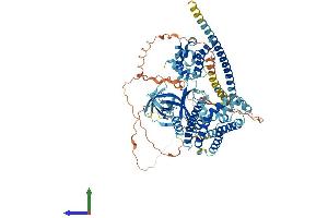 AlphaFold protein structure predicition of Mouse Recombinant Arhgef6 Protein, UniprotID Q8K4I3 (ARHGEF6 Protein (AA 1-771) (His tag))