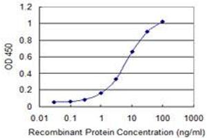 Detection limit for recombinant GST tagged PTPRN2 is 0. (PTPRN2 antibody  (AA 108-212))