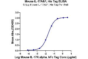 Immobilized Mouse IL-17A&F, His Tag at 1 μg/mL (100 μL/well) on the plate. (IL-17A/F Protein (AA 26-158) (His-Avi Tag))