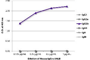 ELISA plate was coated with serially diluted Mouse IgG2b-UNLB and quantified. (Mouse IgG2b Isotype Control)