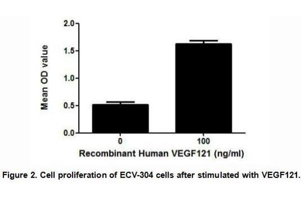 VEGF121 Protein (AA 28-147) (His tag)