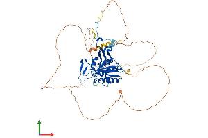 AlphaFold protein structure predicition of Mouse Recombinant Bivm Protein, UniprotID Q8CBX9 (BIVM Protein (AA 1-502) (His tag))