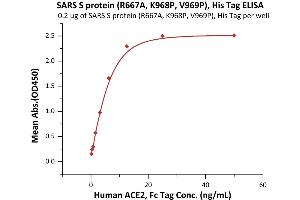 ELISA image for SARS-Coronavirus Spike Protein (SARS-CoV S) (AA 14-1195) (Active) protein (His tag) (ABIN7013276)