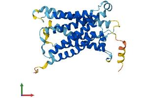 AlphaFold protein structure predicition of Mouse Recombinant Mrgpra3 Protein, UniprotID Q91WW3 (Mrgpra3 Protein (AA 1-302) (His tag))
